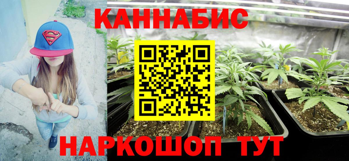Каннабис конопля Златоуст